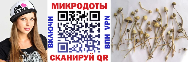 Псилоцибиновые грибы ЛСД  где найти   Красногорск 