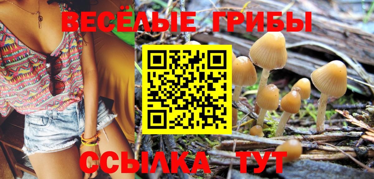 Псилоцибиновые грибы ЛСД Красногорск
